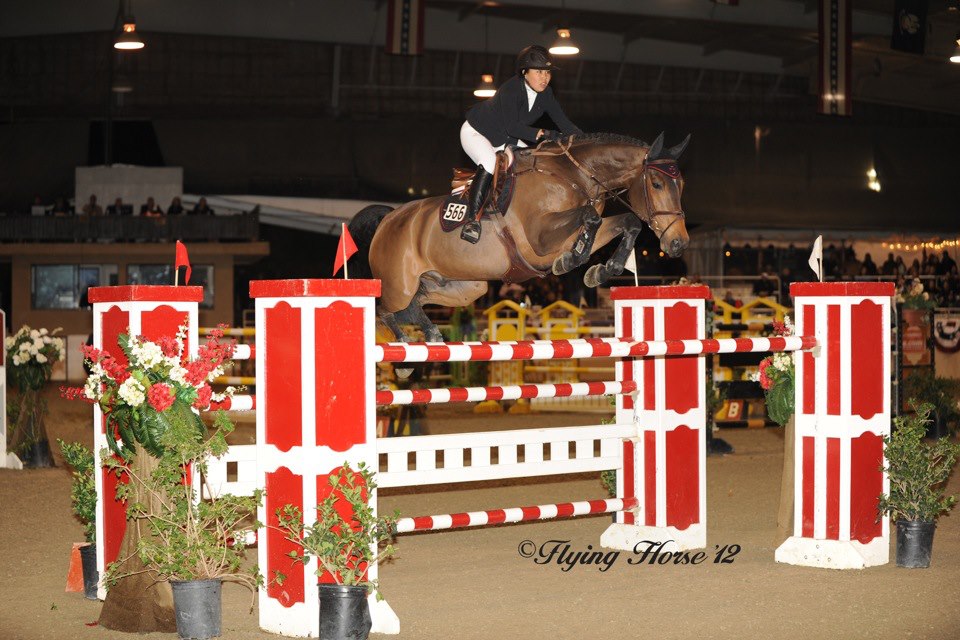 The Phoenix Horse Transport – Stable Talk