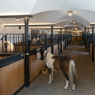 horse-agistment-rates