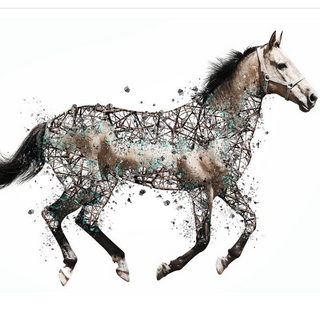horse-breeds