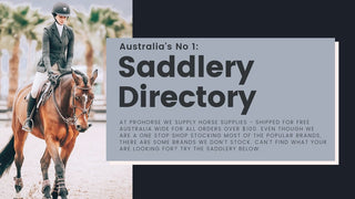 what-is-equine-shipping-1