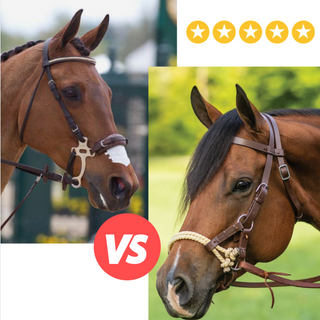 bitless-bridles-vs-hackamore