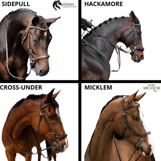 english-bitless-bridles