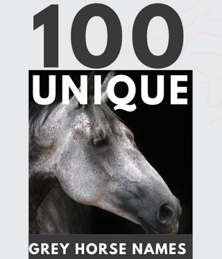 grey horse names