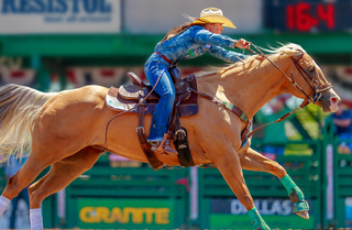 best-horse-for-barrel-racing
