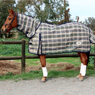 horse-agistment-prices