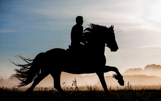Best Horse Riders In the World