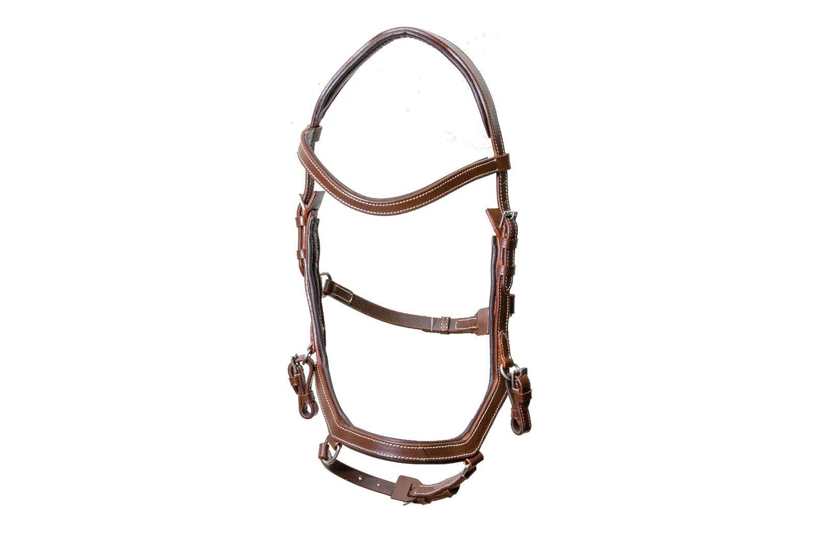 Horse Tack Insurance – Stable Talk