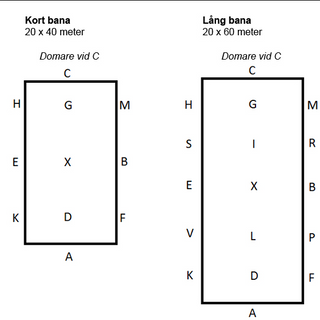equestrian-australia-dressage-tests