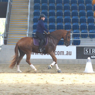 wattle-creek-equestrian-centre