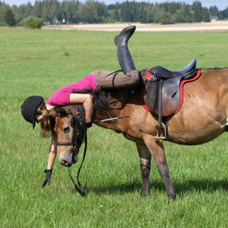 Top 10 Mistakes beginners make - ProHorse