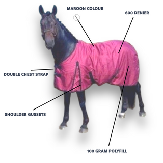 Best lightweight turnout rug - ProHorse