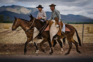 Who used Lassos Lariats Steel Spurs and Saddles - cowboys and gauchos
