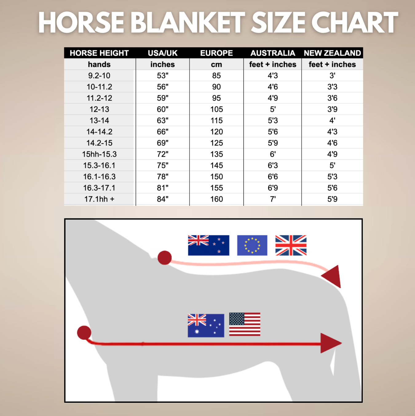 Horse Blanket Size Chart Stable Talk
