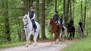 50 Most Popular Horse Riding Camps in United States